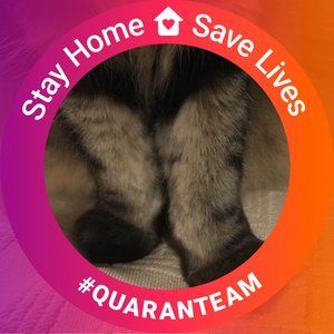 Meet your Posher, Jane